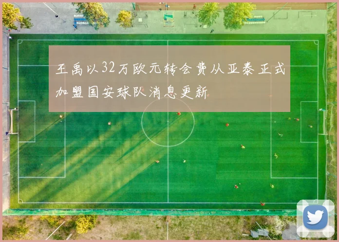 王禹以32万欧元转会费从亚泰正式加盟国安球队消息更新