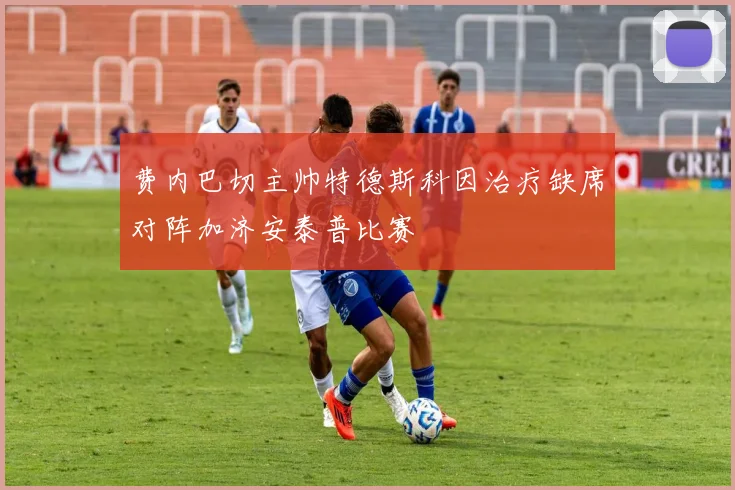费内巴切主帅特德斯科因治疗缺席对阵加济安泰普比赛